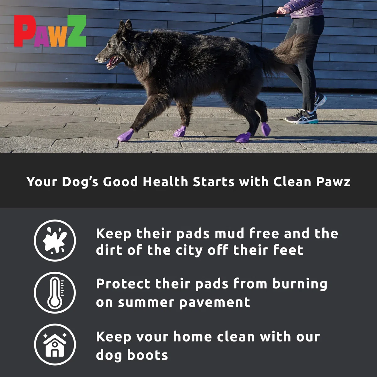 Pawz - Stivaletti per cani (confezione da 12)