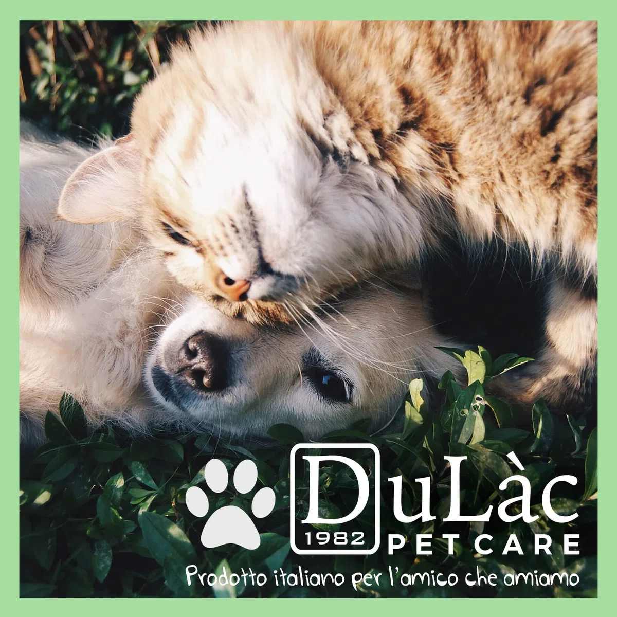 Dulac - Condrolac Integratore Articolazioni Cane e Gatto, 90 Compresse, con Glucosamina e Condroitina, Favorisce la mobilità delle Articolazioni, Ideale per tutte le Razze e Taglie, Made in Italy