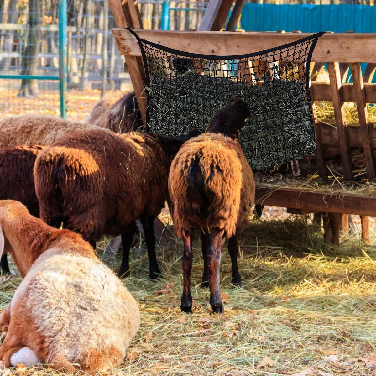 Rete Da Fieno, Rete Da Fieno Per Cavalli, 160*100 cm Rete Per Fieno Cavall, Rete Per Fieno A Maglie Strette Estremamente Resistente Agli Strappi, Per Cavalli, Pecore E Bovini(nero)