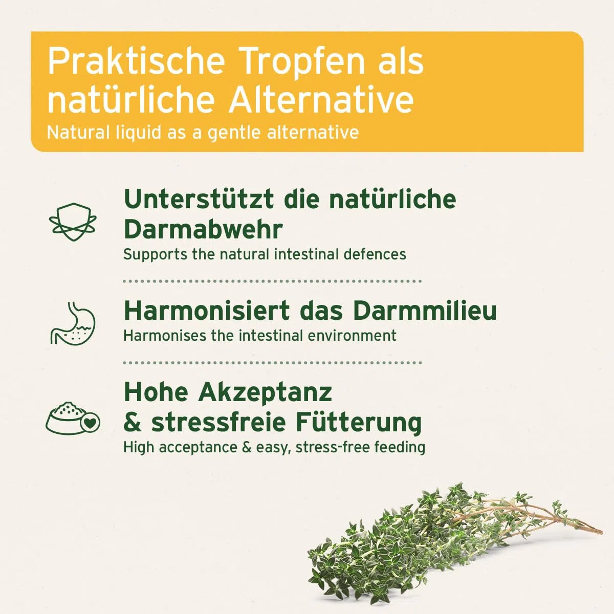 AniForte Verme Erba W-Liquid Gocce Liquido – alternativa naturale per cani, gatti, animali domestici, supporta e armonizza lo stomaco dopo infestazioni da vermi, prodotto in Germania, 50 ml
