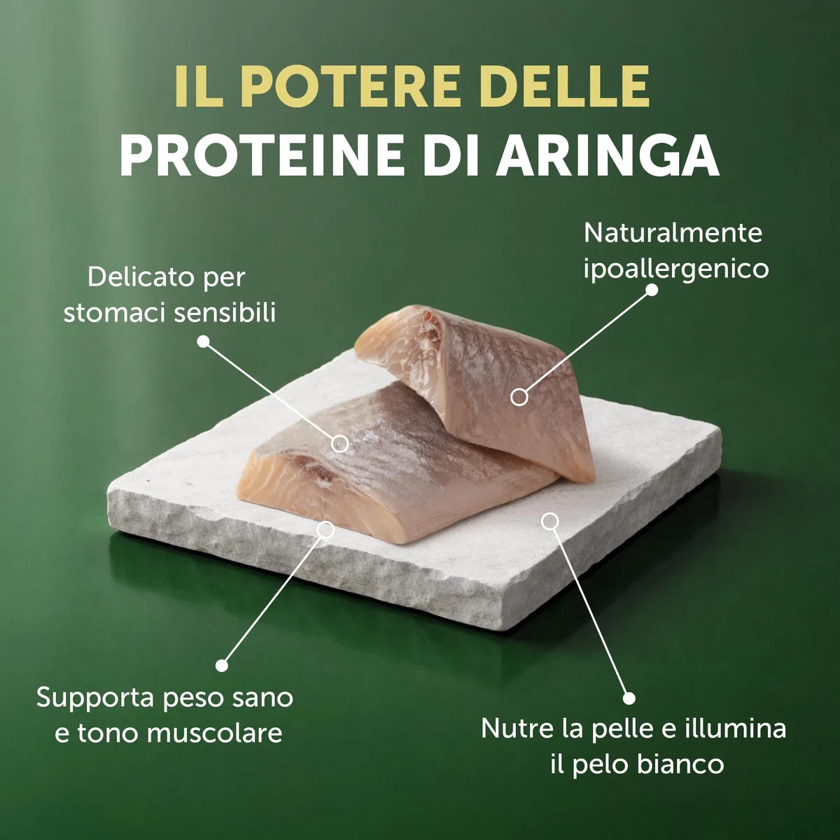Nature's Protection Superior Care White Dog Aringhe Senza Cereali Piccoli pani Adulti 1.5 kg.