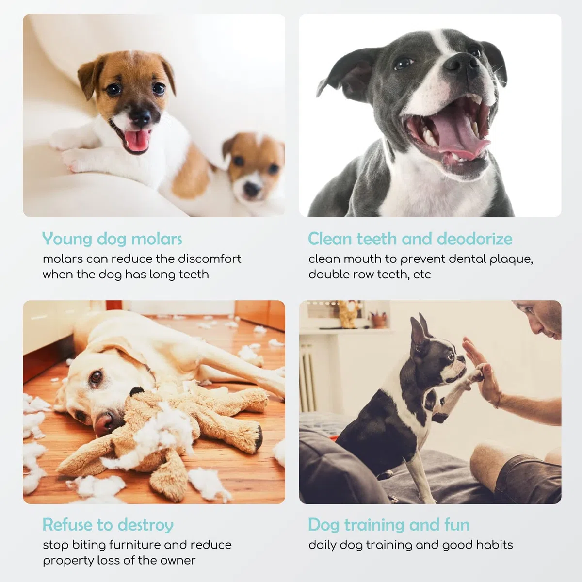 Nobleza - Dolci per cani, petto di pollo di alta qualità, carne secca naturale senza additivi, dolcetti per l'educazione dei cuccioli, confezione da 6, 600 g