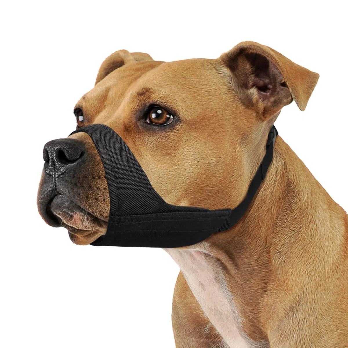 Mayerzon Museruola morbida per Pitbull, bulldog, boxer, rottweiler, anti morso, corteccia, per toelettatura, museruola in tessuto per cani a muso medio grande e corto