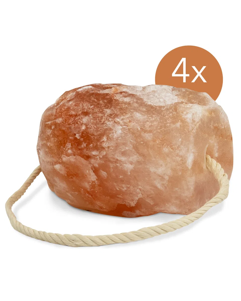 Pietre di sale di alta qualità "cristallo di rocca", 4 pietre con cordoncino, per un totale di circa 12 kg, per cavalli, pecore, bovini, selvaggina, sale di bestiame – pietra minerale – pietra