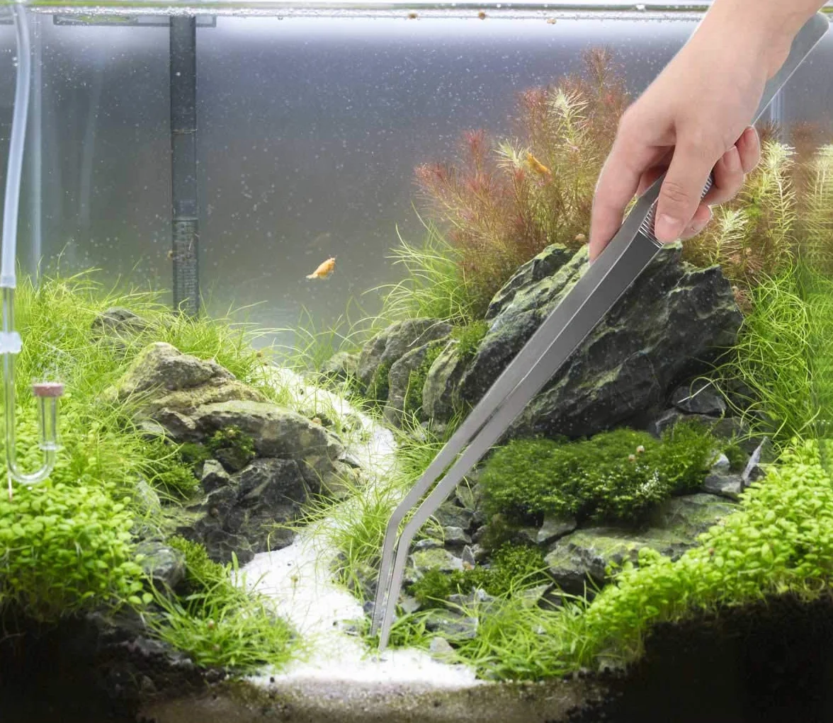 ACEONE Pinzette per acquario, 2 pezzi, 48 cm, in acciaio inox, curve, dritte, per acquario, piante acquatiche, pinze per l'alimentazione di serpenti rettili