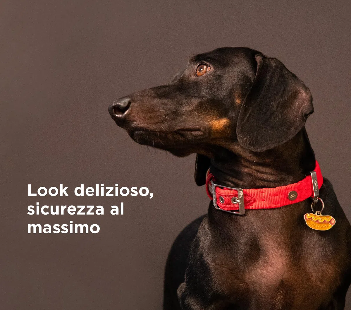 My Family Medaglietta per Cane Personalizzata Made in Italy, Targhetta Cane con Incisione Gratis, Smaltata a Mano in Metallo, Collezione Food