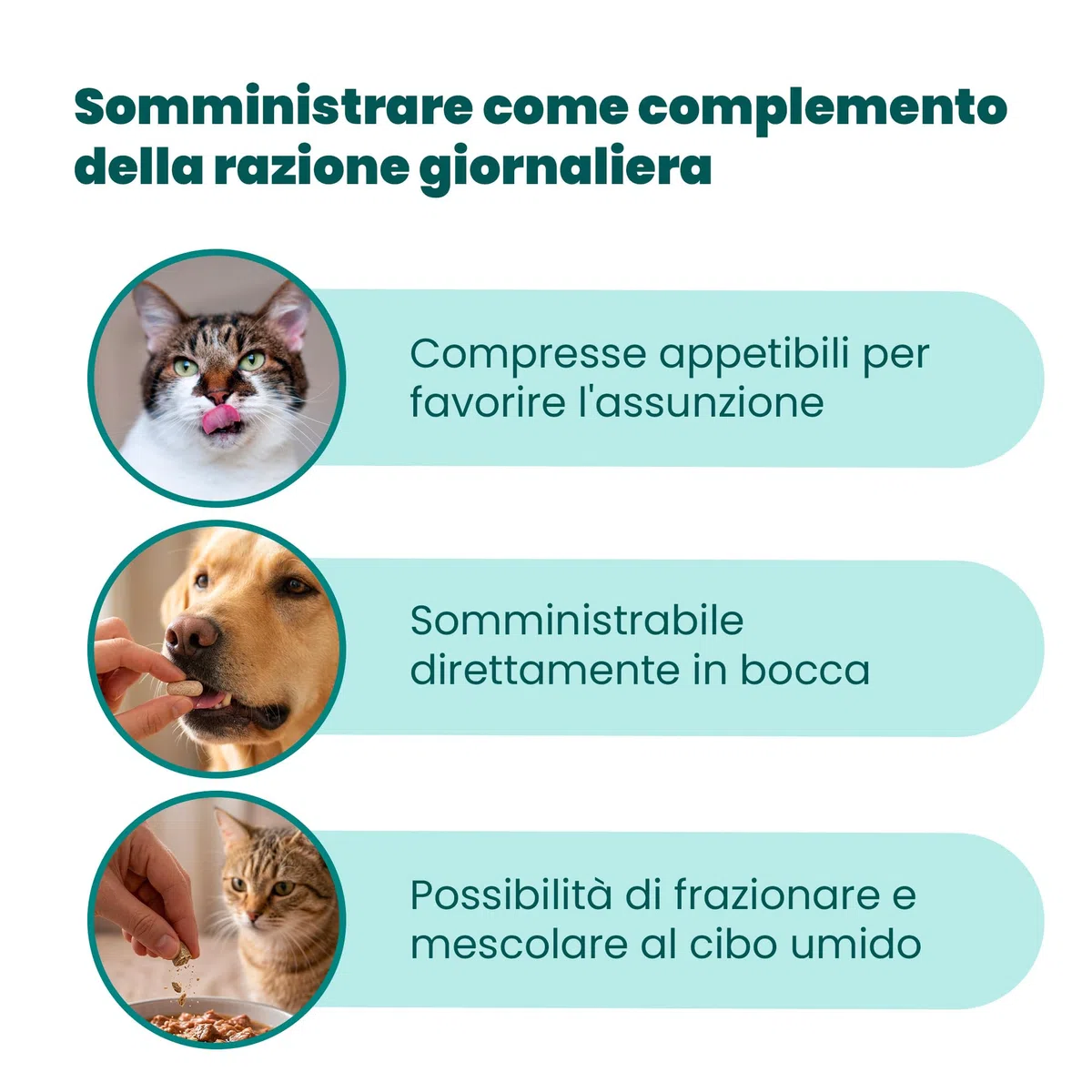 CAMON | Detoxivet Mangime Complementare per Cani e Gatti, Azione Depurativa e Disintossicante, Regola la Funzionalità Intestinale e Renale, 60 Compresse da 1g