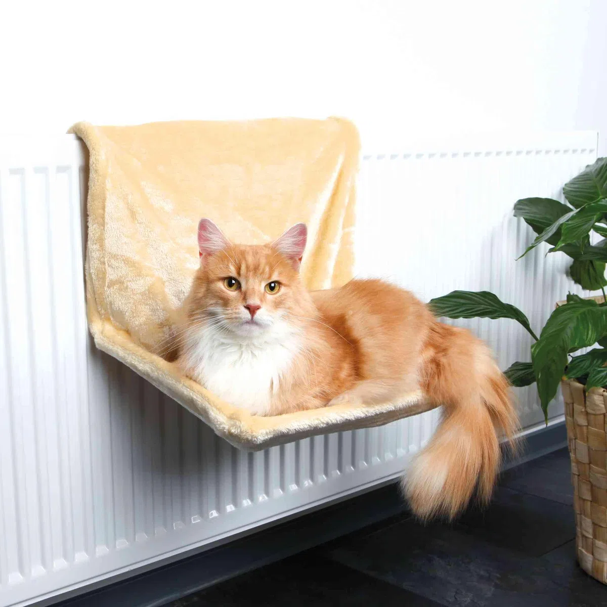 Trixie, Amaca da termosifone