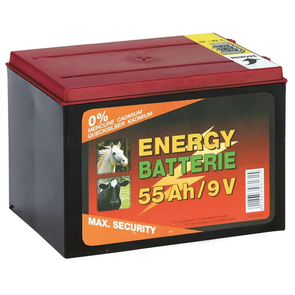 Kerbl Corral, Batteria a Secco Zinco-Carbonio 55 Ah Vedi Descrizione