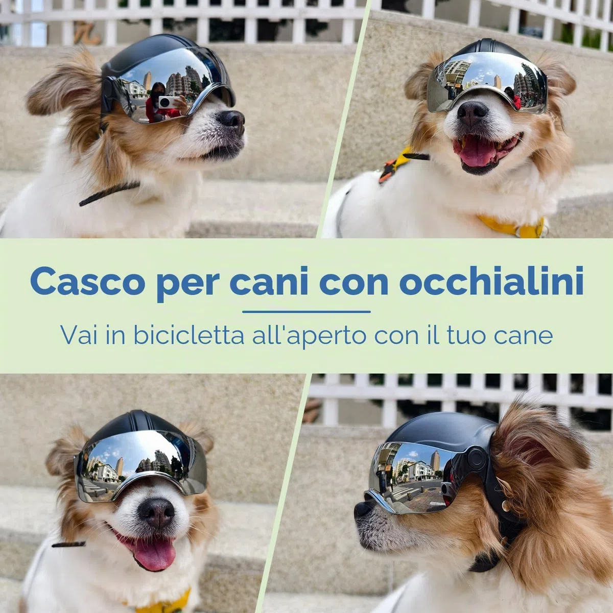 Enjoying Casco per Cani con Fori per le Orecchie, Casco per Animali con Lenti Argentate, Protezione UV, Protezione Dalla Sabbia, Adatto per Cani di Peso Compreso tra 7,5 e 12,5 kg