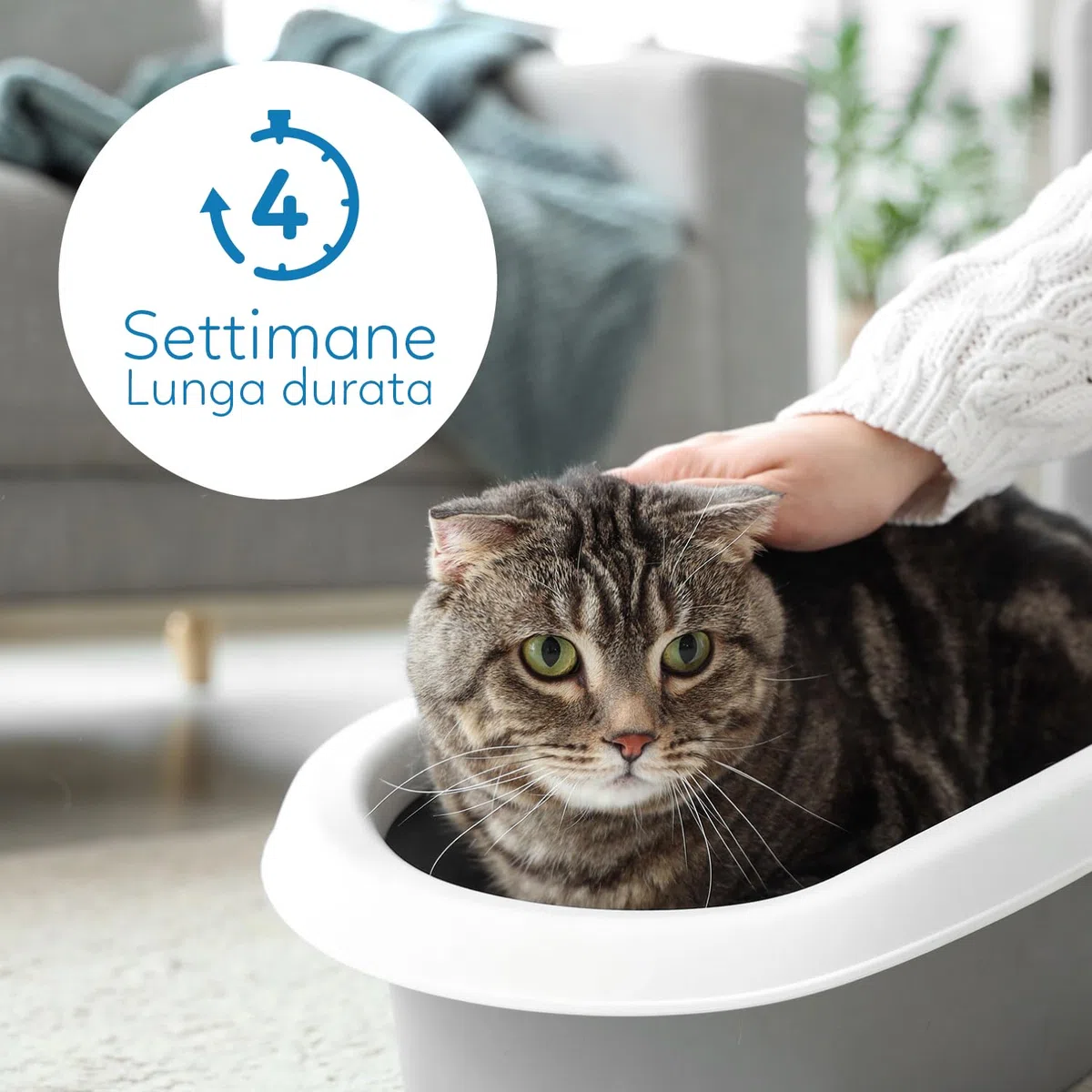 AQPET Lettiera Al Silicio Per Gatti Gatto Profumazione Neutra Super Assobente Lunga Durata Gel di Silice, 16 Litri