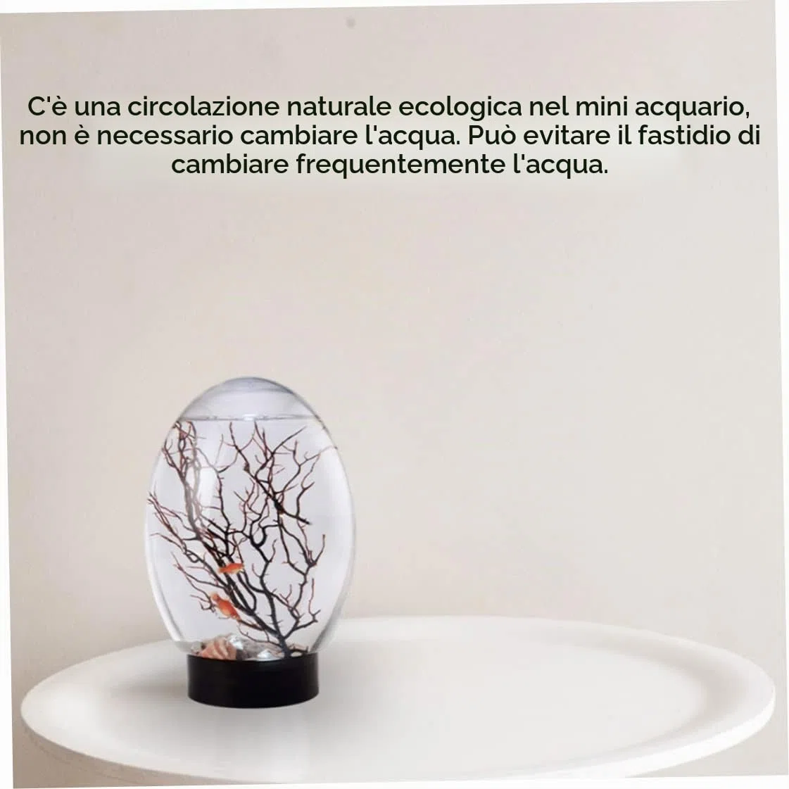 Ecosistema acquatico chiuso di mini acquario ecosistema chiuso con acqua nera per desktop luminosa a LED non è necessario nutrire o cambiare acqua, ecosistema della biosfera