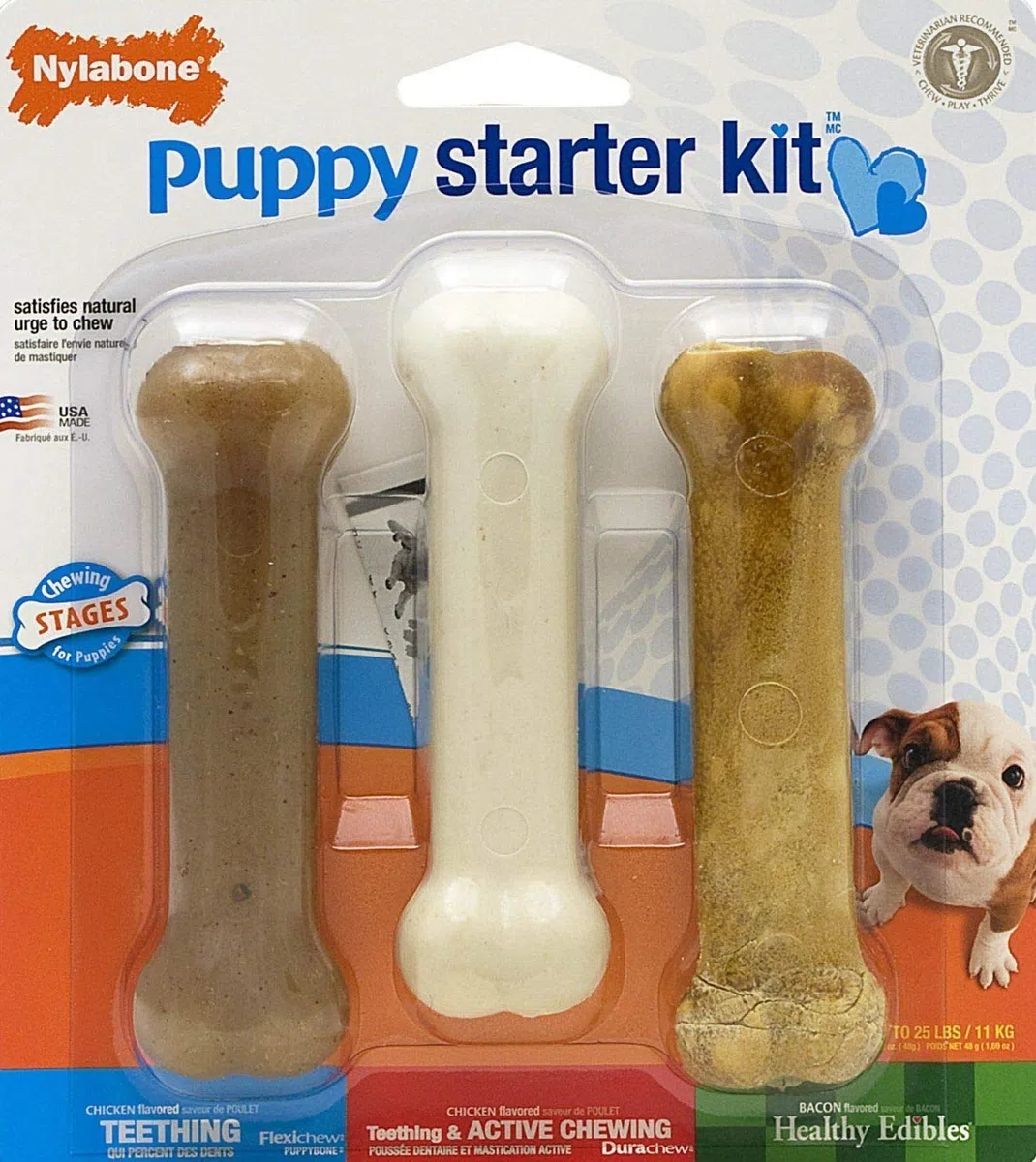 Nylabone Puppy starter kit