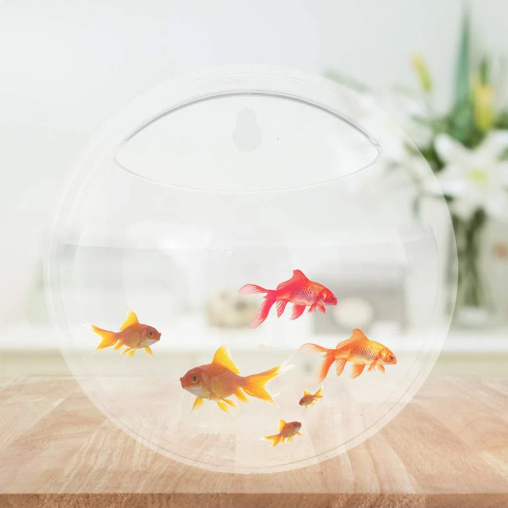 3 Pezzi Acquario da Appendere al Muro, Acquario da Appendere al Muro, Fioriera per Piante da Parete Vasi in Acrilico per Fiori Erba, Mini Acquario Decorazioni per la Casa(Trasparente)