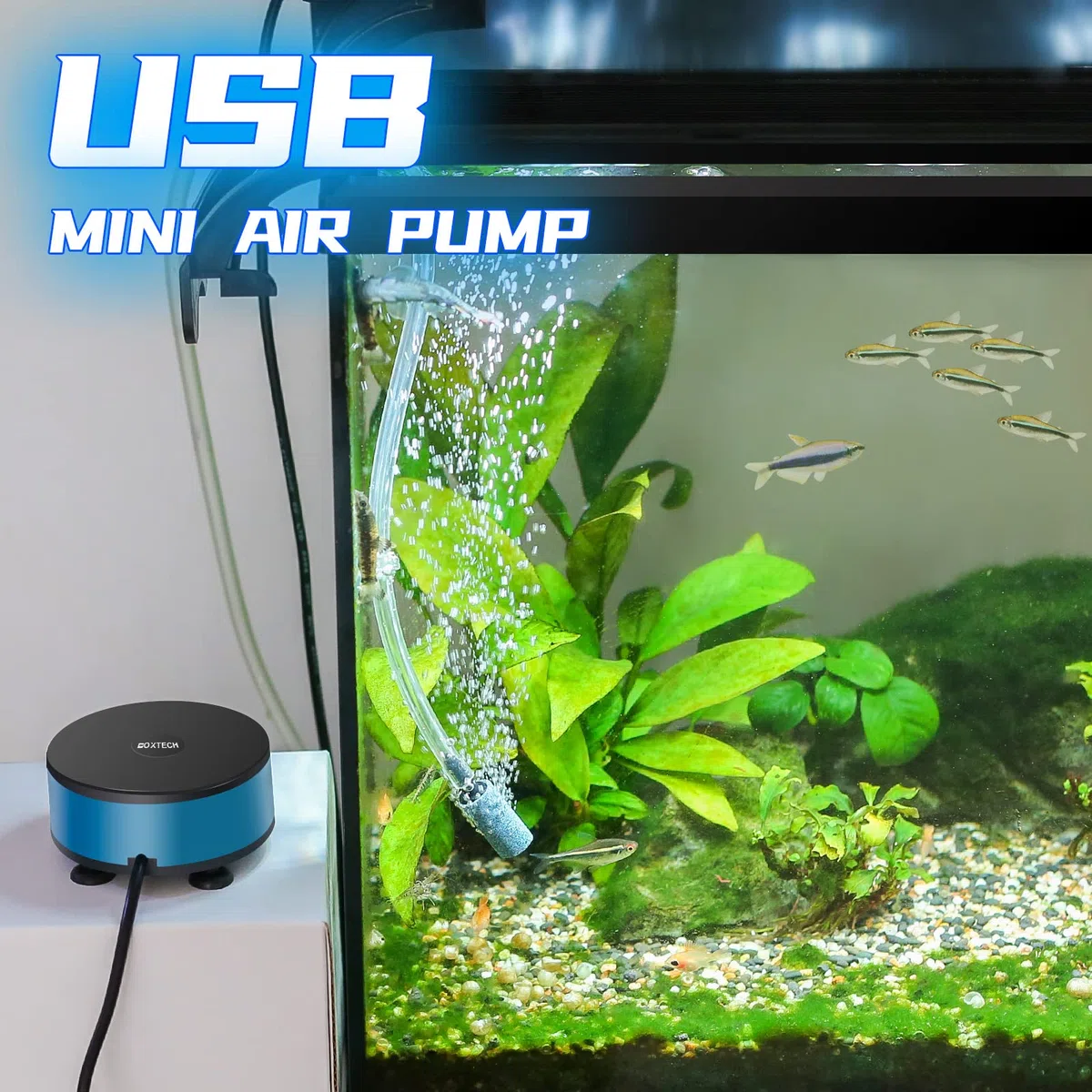 boxtech Pompa d'aria per acquario per acquario, kit per aeratore di ossigeno con pietra d'aria, tubo per mini acquario da 7-30 litri