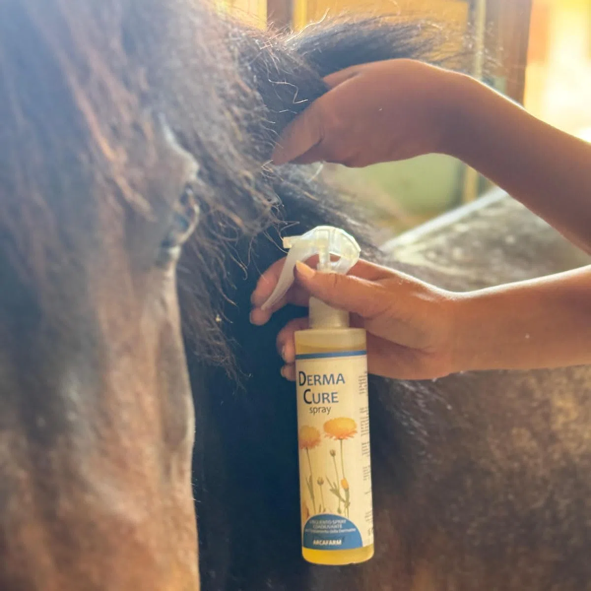 Spray Dermatite Cavalli DermaCure Arcafarm 250 ml - Trattamento Naturale per eczemi, irritazione pelle, arrossamenti, dermatite estiva recidivante cavallo, prurito cute - supporto per ricrescita pelo