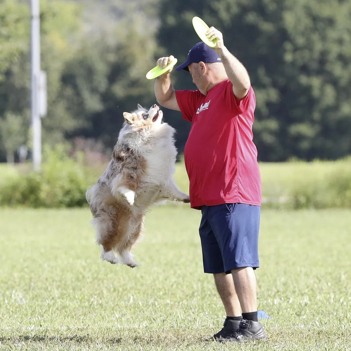 Hyperflite Jawz Pup, 7-Inch, Lemon-Lime by Hyperflite