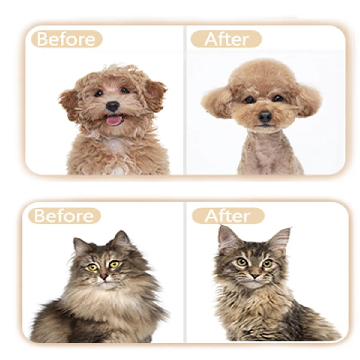 Tosatrice per Cani Professionale Tosatrice per Gatti Pelo Lungo Ricaricabile USB Oro