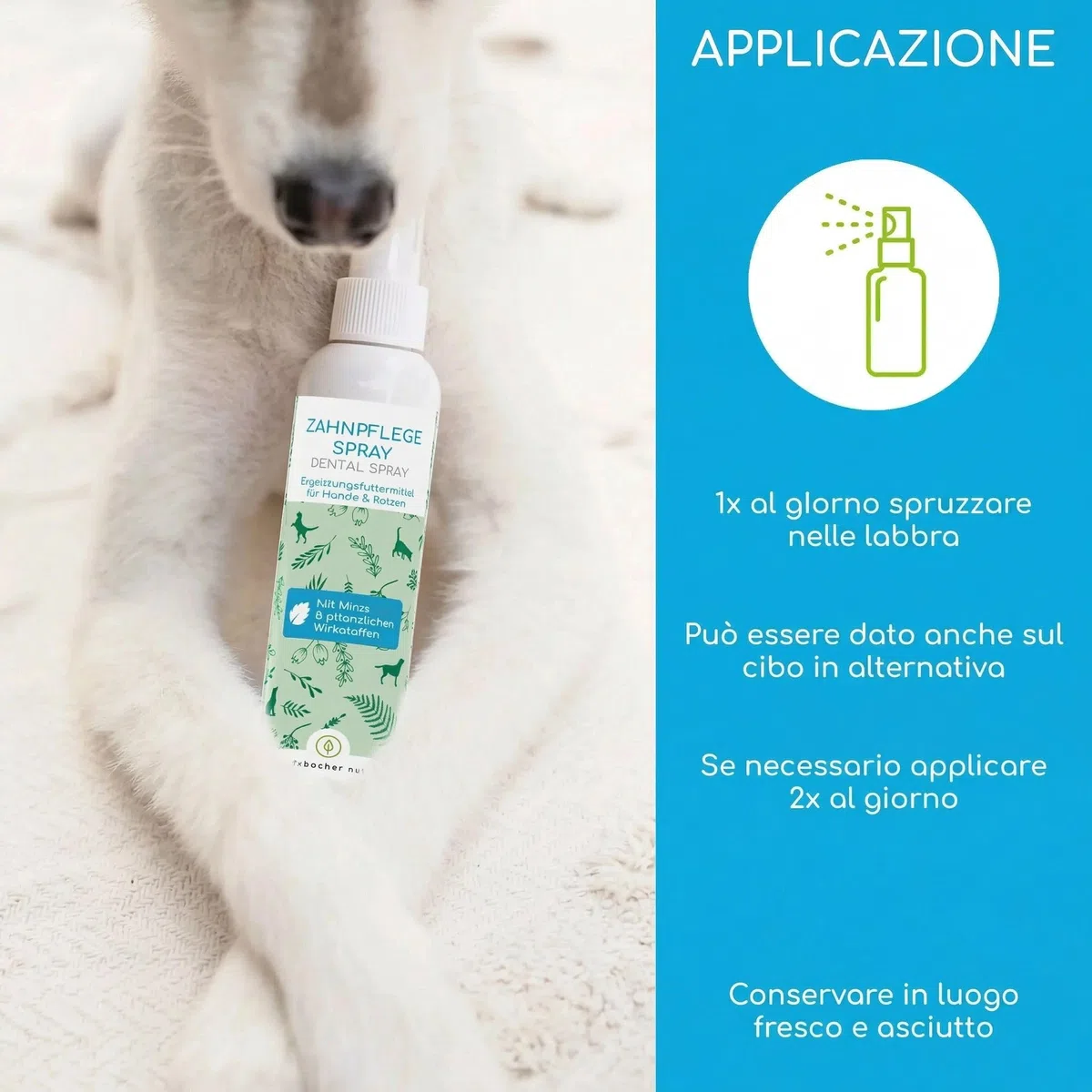 Rimuovi Tartaro per Cani e Gatti – Spray Dentale Naturale per la Pulizia dei Denti senza Spazzolino – Rimuove il Tartaro e Riduce l'Alito Cattivo – Alito Fresco con Menta 150ml