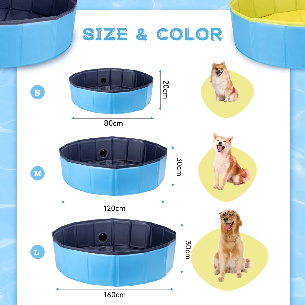 Nobleza Piscina per Cani Grandi e Piccoli, Piscina Pieghevole, Vasca da Bagno Rigida per Cani e Gatti, 80 * 20cm, S, Blu