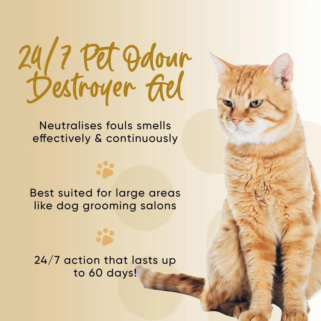 PowAir Pet Odour Destroyer Gel – Neutralizzatore naturale di odori per cani e gatti, sicuro e di lunga durata, elimina gli odori degli animali domestici fino a 60 giorni (400 g)