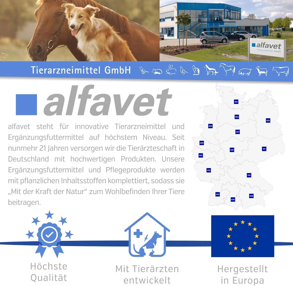 alfavet ReConvales Energy, confezione doppia, in convalescenza, sottopeso e lipidosi epatica del gatto, ad alto contenuto calorico, 2 x 180 ml