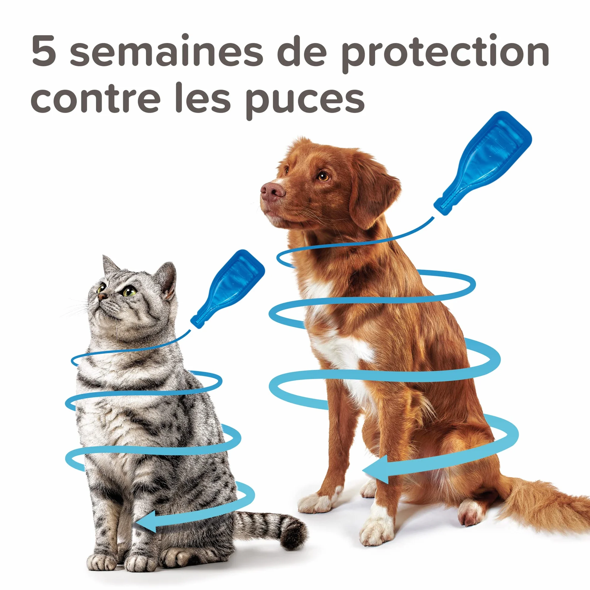 Beaphar FIPROtec Cat
