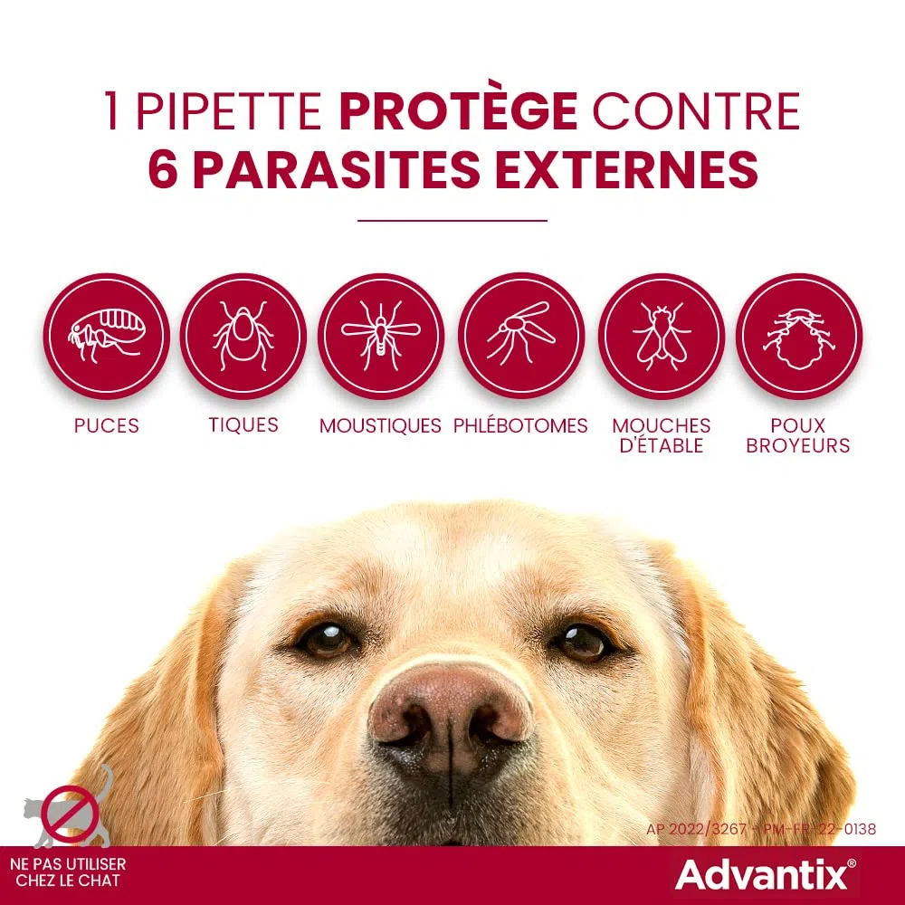 ADVANTIX 6 pipettes antiparasitaires - Pour tres petit chien de 1,5 a 4kg