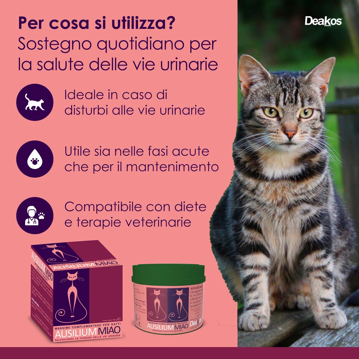 Deakos Ausilium Miao in Polvere 100g - Integratore Gatto per il Benessere delle Vie Urinarie - Con D-Mannosio Puro e Morinda Citrifolia - Integratore per Gatto Senza Glutine e Lattosio