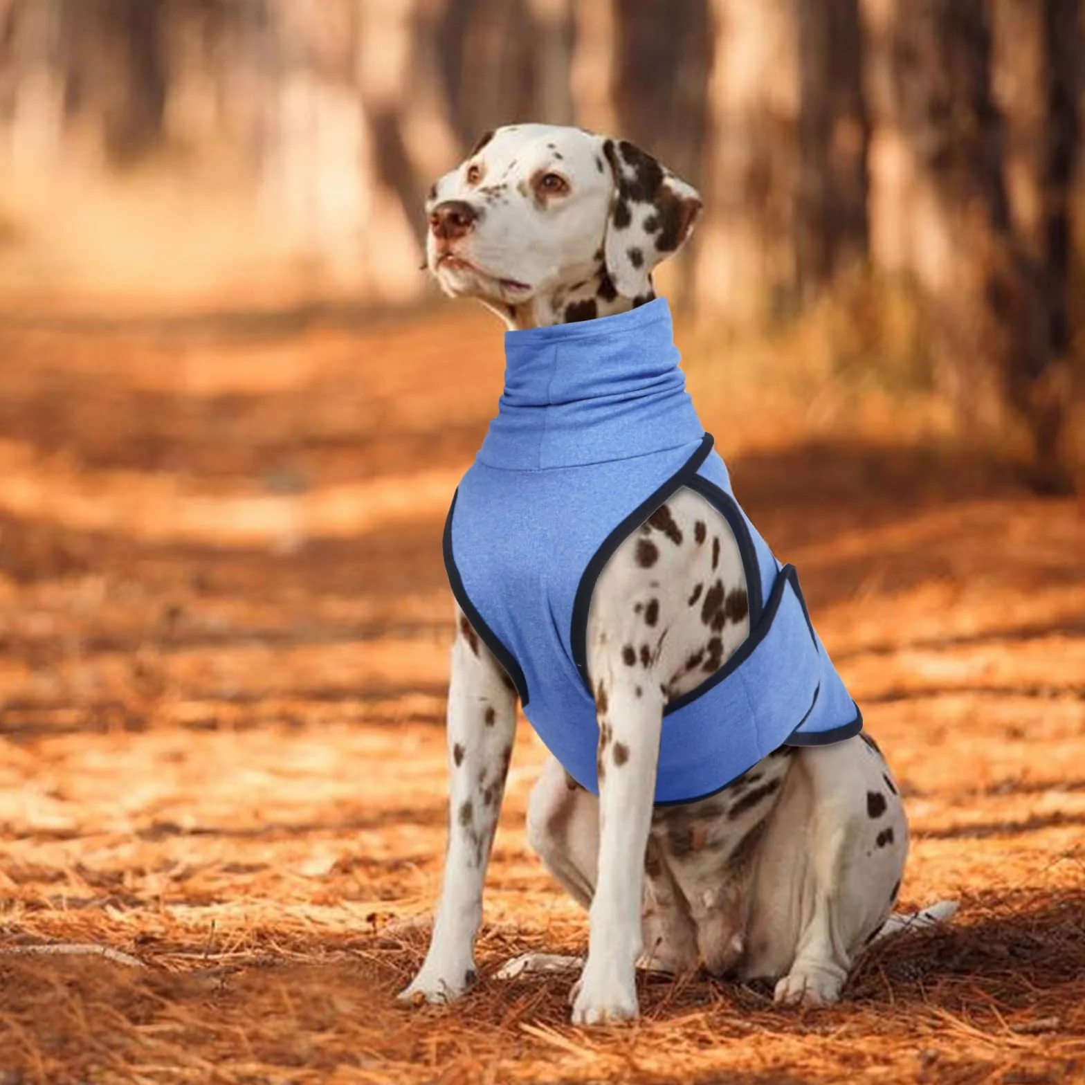 Giacca Ansiolitica Per Cani, Cappotto Anti-Ansia Per Cani Con Cappuccio Calmante, Maglione Per Cani Di Piccola Media E Grande Taglia, Cappotto Cane, Vestiti Per Cani