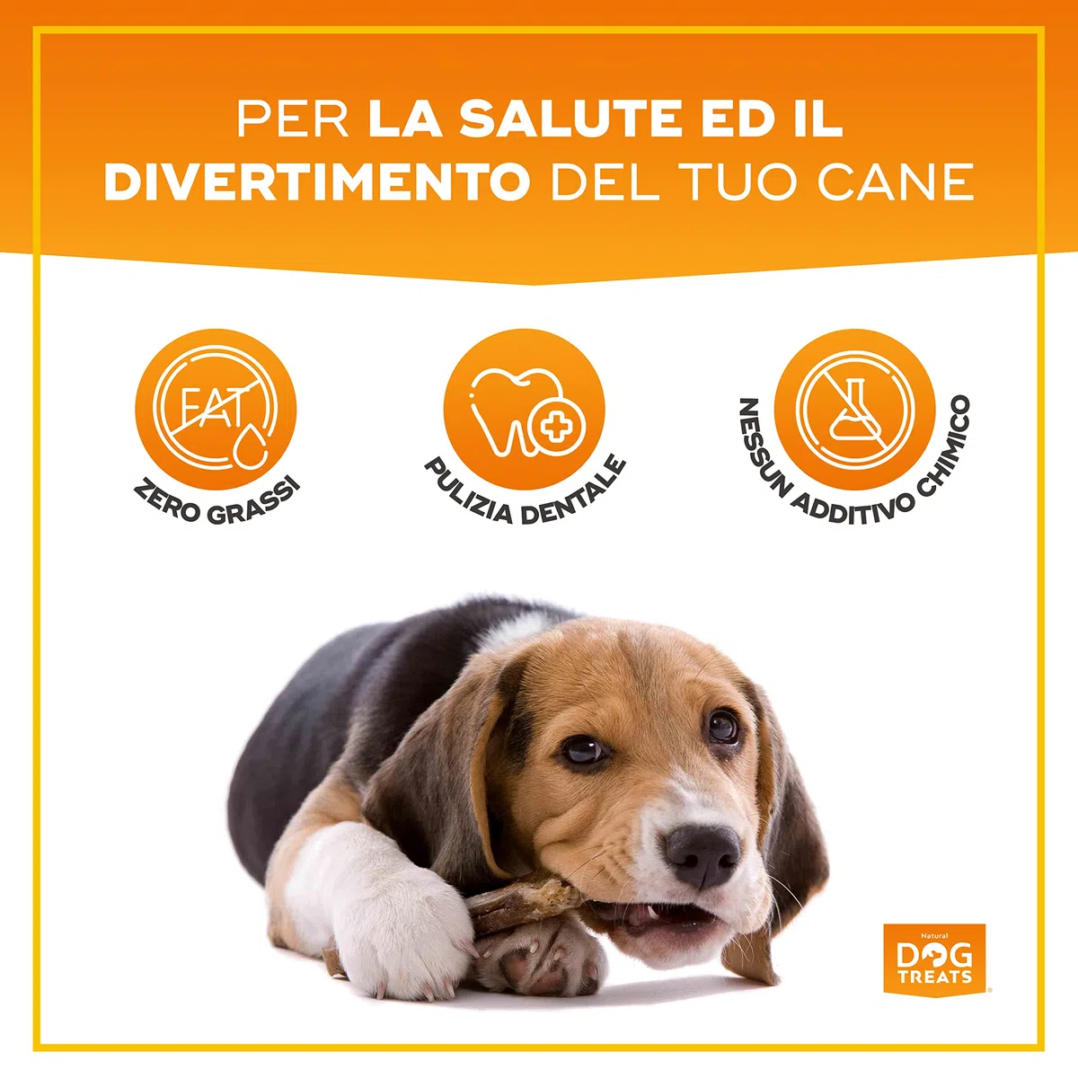 Natural Dog Treats - Bastoncini di Manzo per Cani - Nervo di Bue da Masticare - Snack 100% Naturali - 5 pezzi