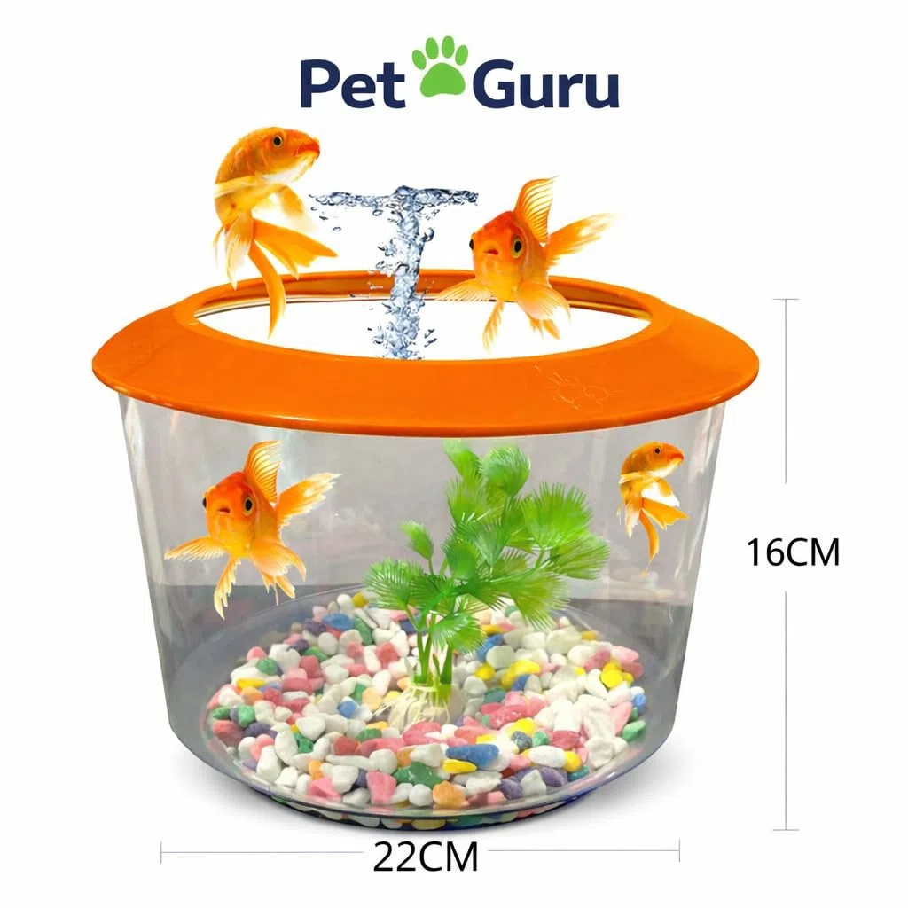 Pet Guru Ciotola per pesci trasparente di alta qualità con coperchio, ghiaia decorativa e pianta inclusa, plastica resistente, perfetta per pesci rossi (casuale)