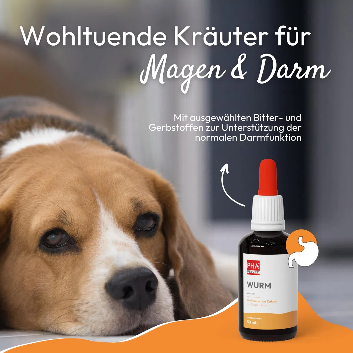 PHA Verme Gocce per Cane e Gatto – Trattamento naturale di vermi per Gatto e Cane, Agente per vermi secondario, Alternativa alle infestazioni da vermi, con vermi, achillea, timo, gocce da 50 ml