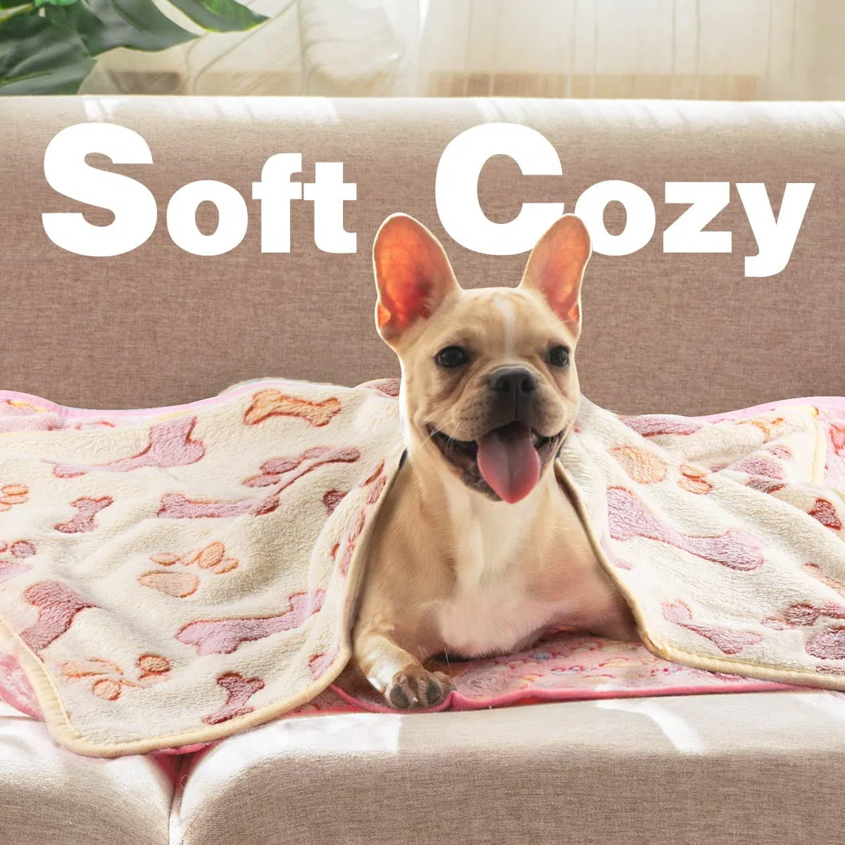 MICOOYO Coperta per cuccioli e gatti lavabile, confezione da 3 coperte per cani per gatti gattini cuccioli, coperte per animali domestici per cani di taglia piccola media grande (zampe ossa, M)