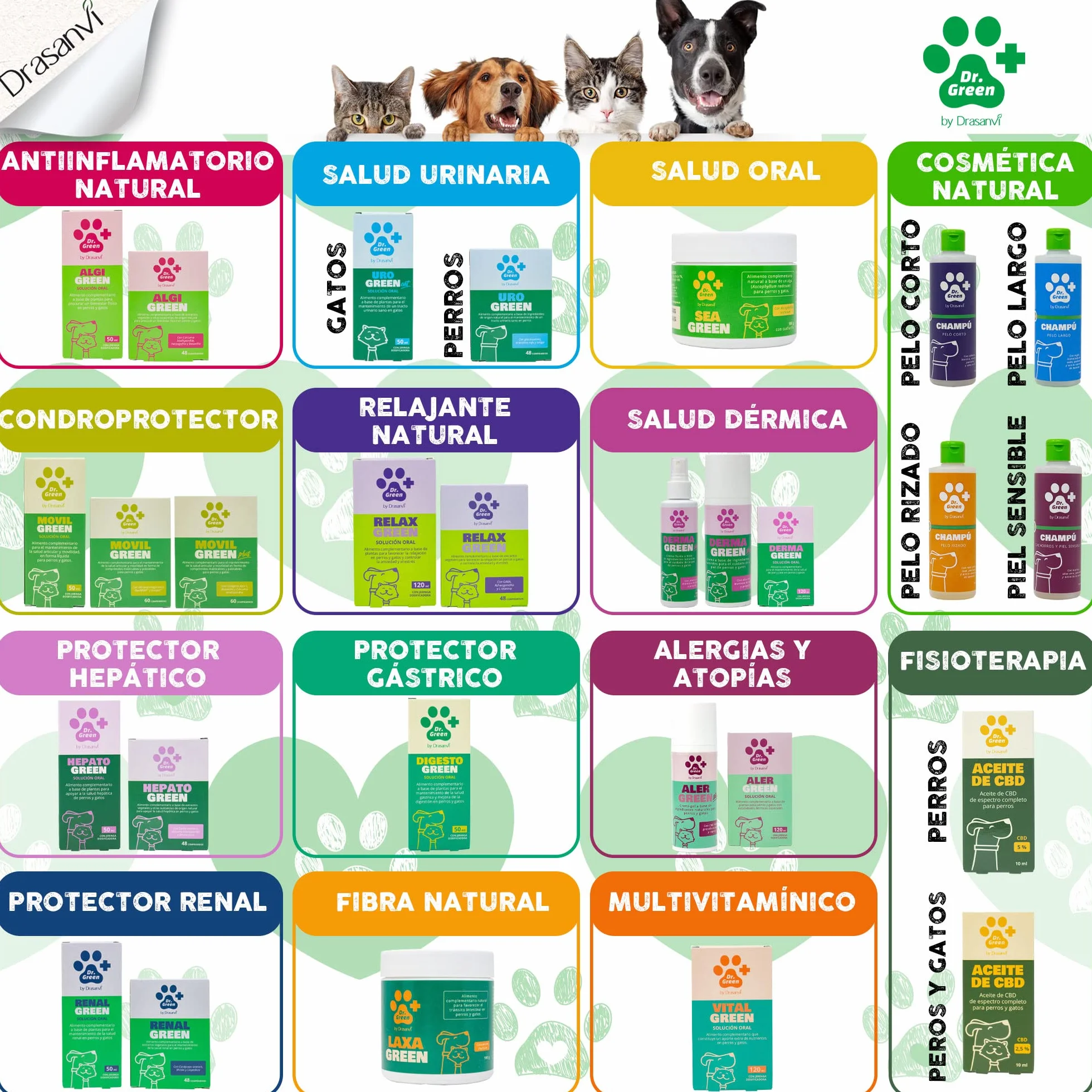 Drasanvi RENALGREEN SOLUZIONE ORALE 50ML DR GREEN