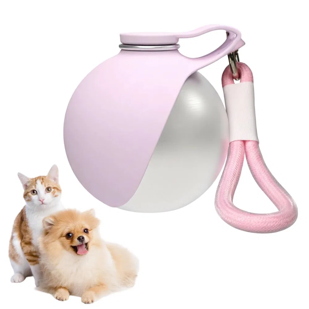 Borraccia portatile per animali domestici, 285ml borraccia compatta in acciaio inossidabile per cani, ciotola da viaggio a prova di perdite per gatti con ciotola pieghevole in silicone per passeggiate