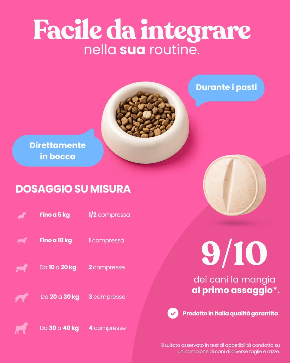 Bau Vitamine Cane per Supporto Immunitario in Compresse, Multivitaminico Difese Immunitarie, Energia e Recupero, Vitamine Cani per Dieta BARF, Post-Convalescenza, Vitamine per Cani Anziani -60cps