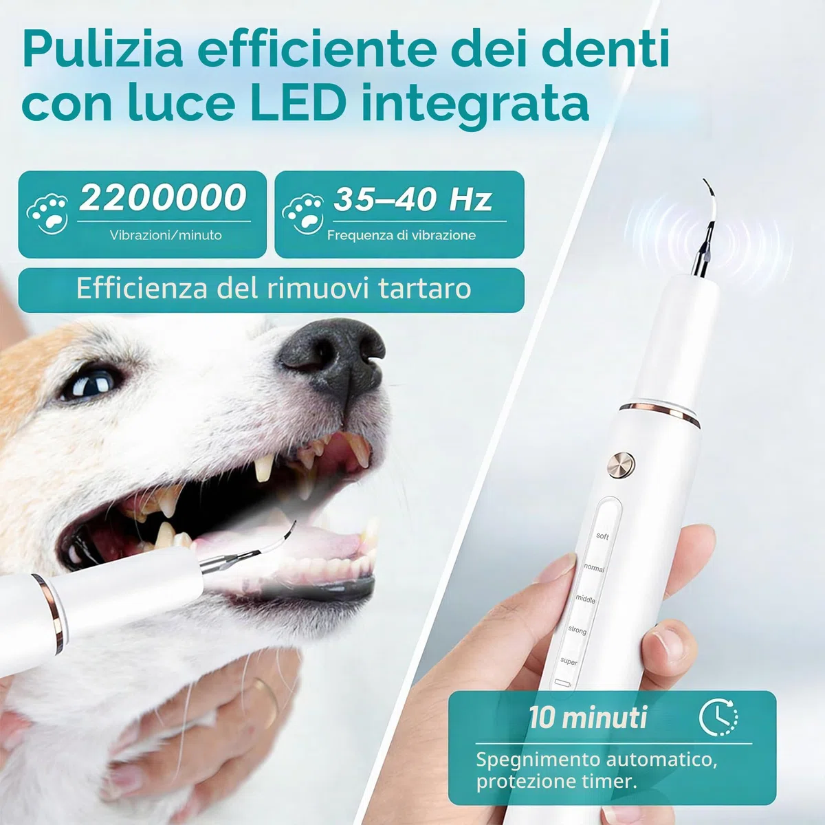 FIVAVA Pulizia Denti Cane, Pulizia Denti Tartaro per Cani e Gatti, Kit Pulizia Denti, 5 Modalità di Pulizia, Rimuove il Tartaro, Ricaricabile (Bianco)