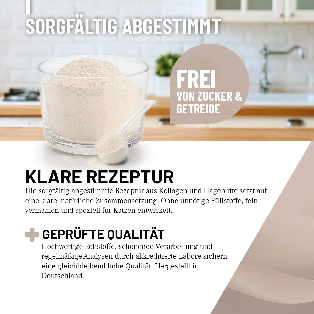 ReaVET Giunto Complex gatto, per 3 mesi, alternativa alle compresse articolari – molto elevata accettazione – speciale agente articolare per gatti, meglio di cozze verdi MSM, artiglio del diavolo,