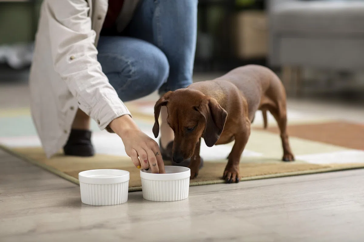 Canina Barfer's Best, 500 g