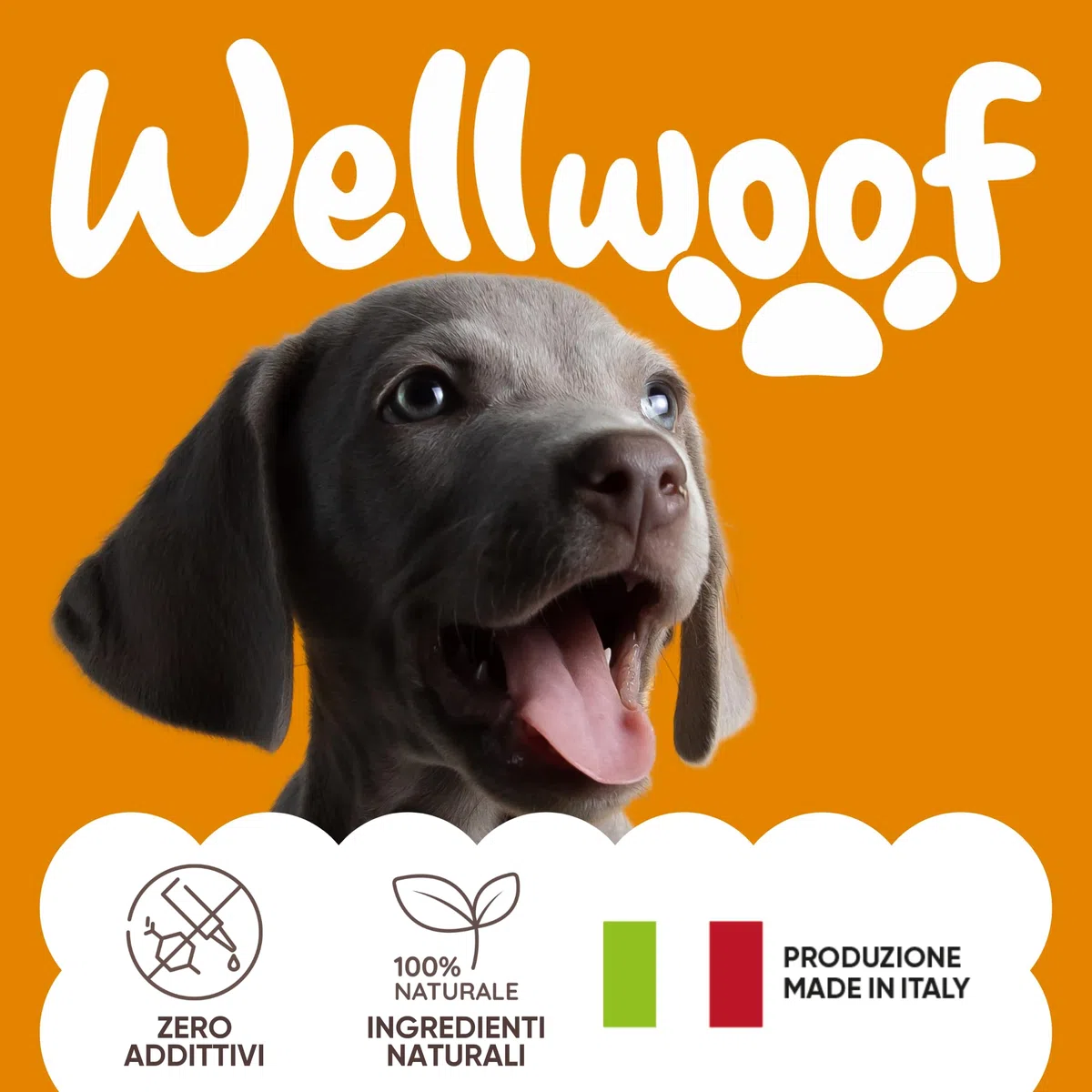 Integratore Multivitaminico Completo 11 in 1 | Integratore per Cani in Polvere (250g) | 20 Vitamine e Minerali e Moringa BIO | Senza Appetizzanti Animali | Dieta Casalinga | Made in Italy - WELLWOOF