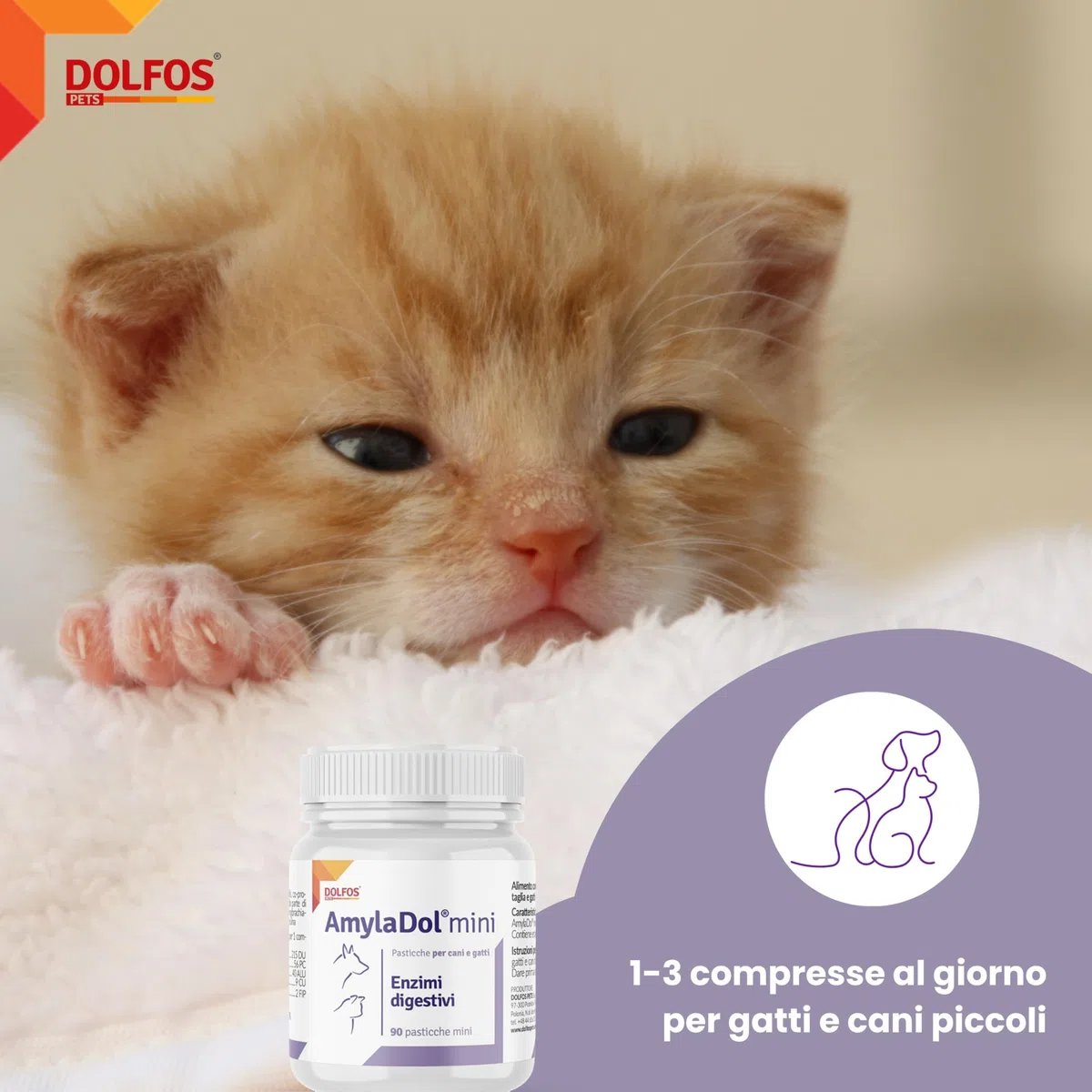 Dolfos AmylaDol MINI 90 Compresse, Integratori per Cani e Gatti con Enzimi Pancreatici, Supporto Professionale per Insufficienza Pancreatica e Disturbi Digestivi