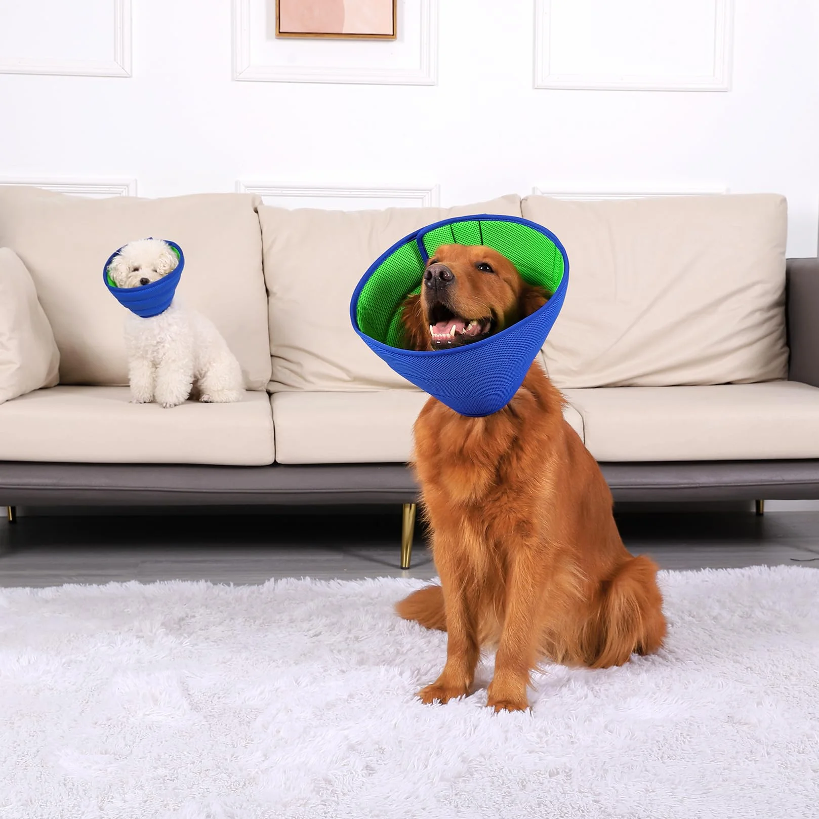 Collare Elisabettiano Cane Morbido, Collare a Cono Traspirante per Cani, Collare Protettivo e Regolabile per Cani e Gatti, Protettivo per Recupero Postoperatorio, Collare Anti Morso o Leccato (Size 8)