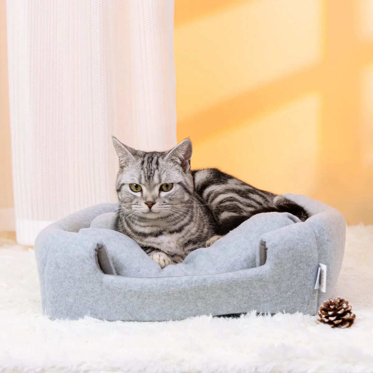 Nobleza Cuccia Gatto, Casetta Pieghevole per Gatto Cani, 2 in 1 Multiuso Lavabile in Lavatrice Cuccia Gatto Chiusa Interno 38 x 38 x 33cm