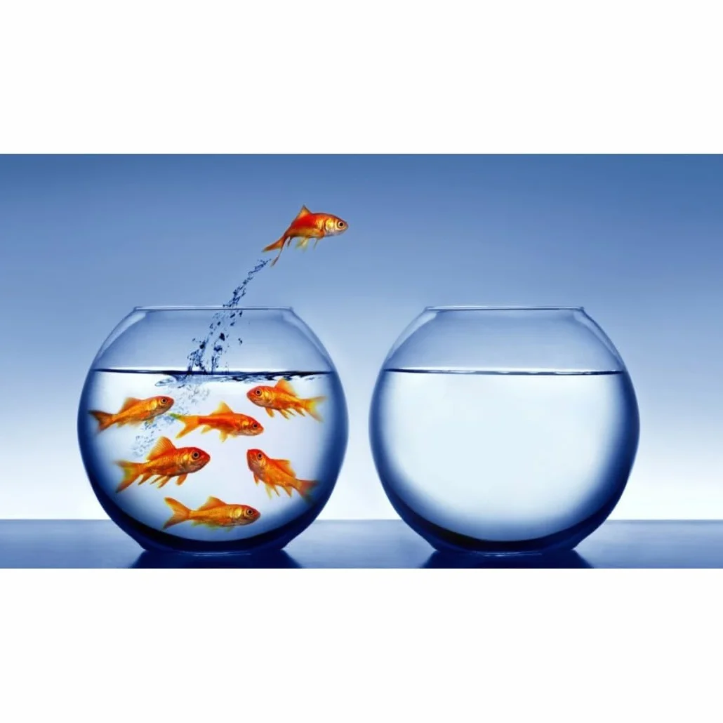 Trade Shop - Ampolla Boccia per Pesci in Vetro 25 Cm Acquario Pesce Rosso Centro Tavola Casa