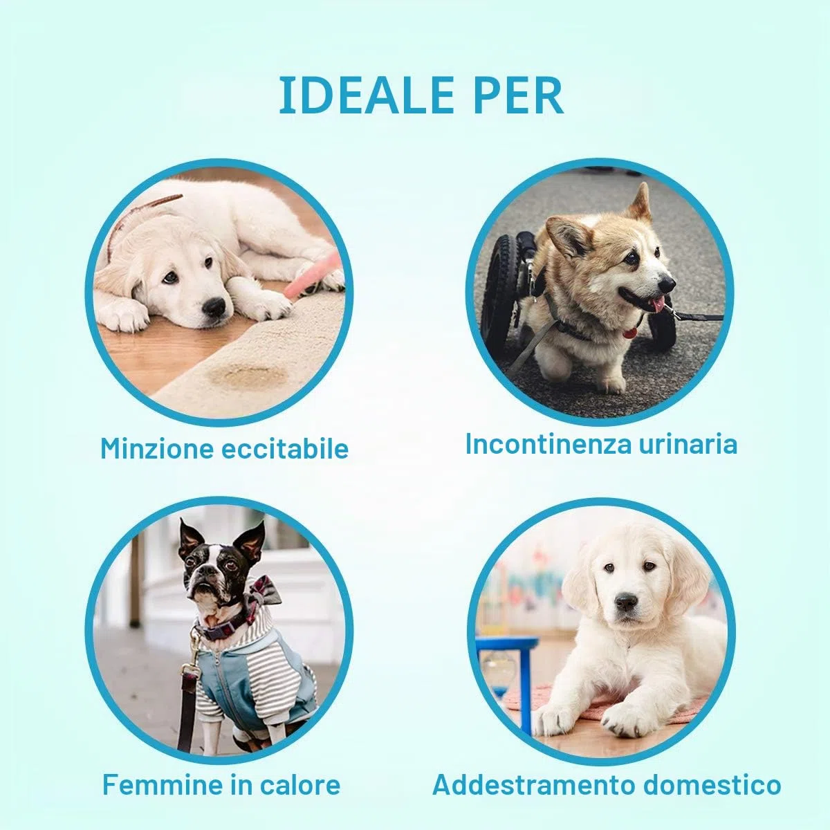 Pannolini per cani femmina, morbidi, super assorbenti, monouso, fantasia jeans, stile cowboy, pannolini per cuccioli, 24 pezzi