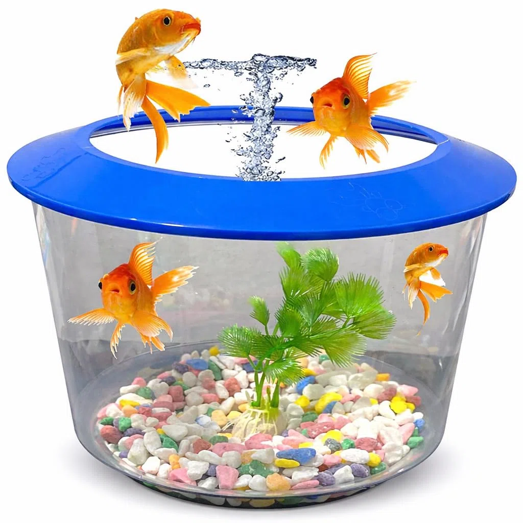 Pet Guru Ciotola per pesci trasparente di alta qualità con coperchio, ghiaia decorativa e pianta inclusa, plastica resistente, perfetta per pesci rossi (casuale)