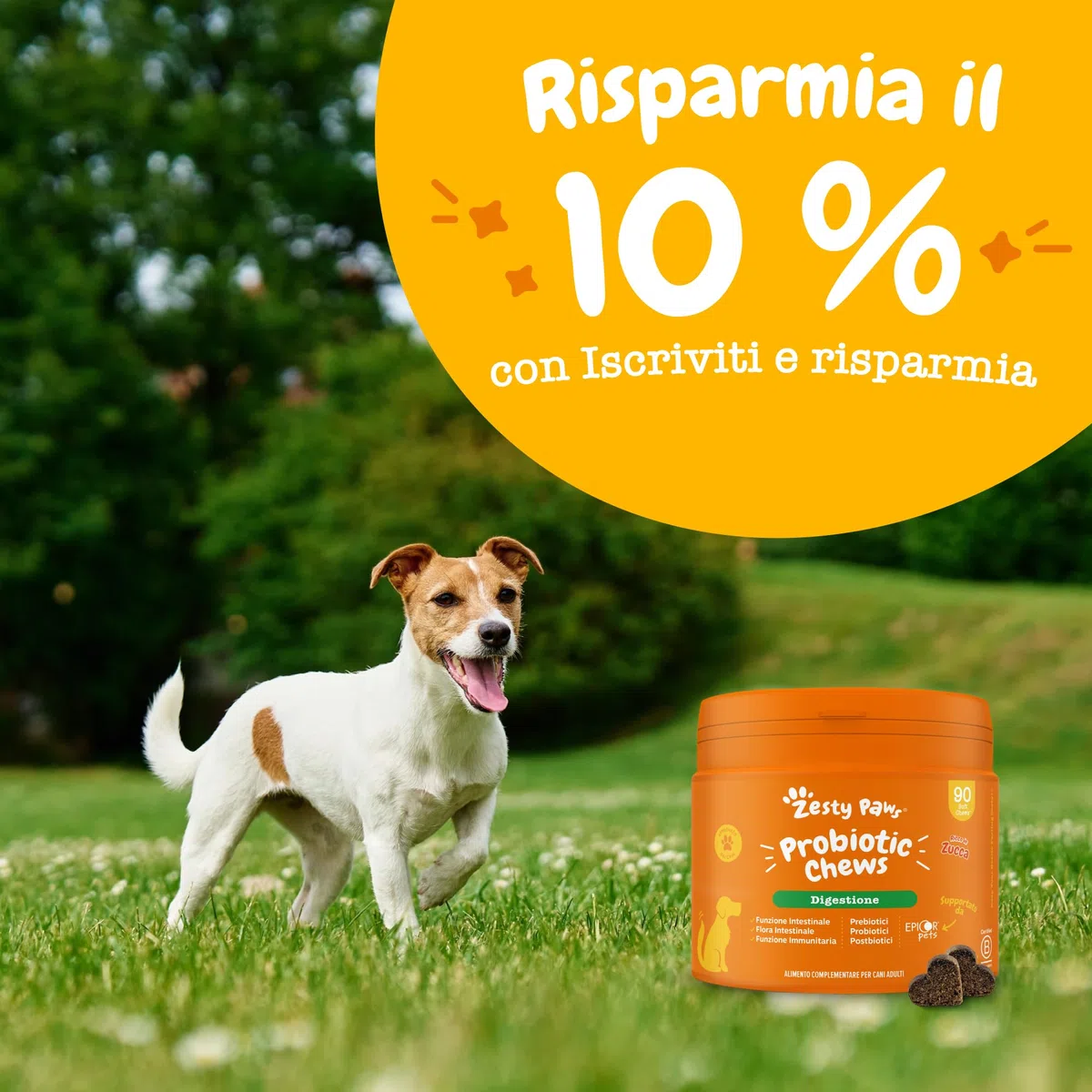 Zesty Paws Probiotici per Cani – Supporta Salute Intestinale, Digestione – con Pre, PRO e Postbiotici, Zucca e Semi di Lino – Equilibrio Digestivo – 90 Bocconcini