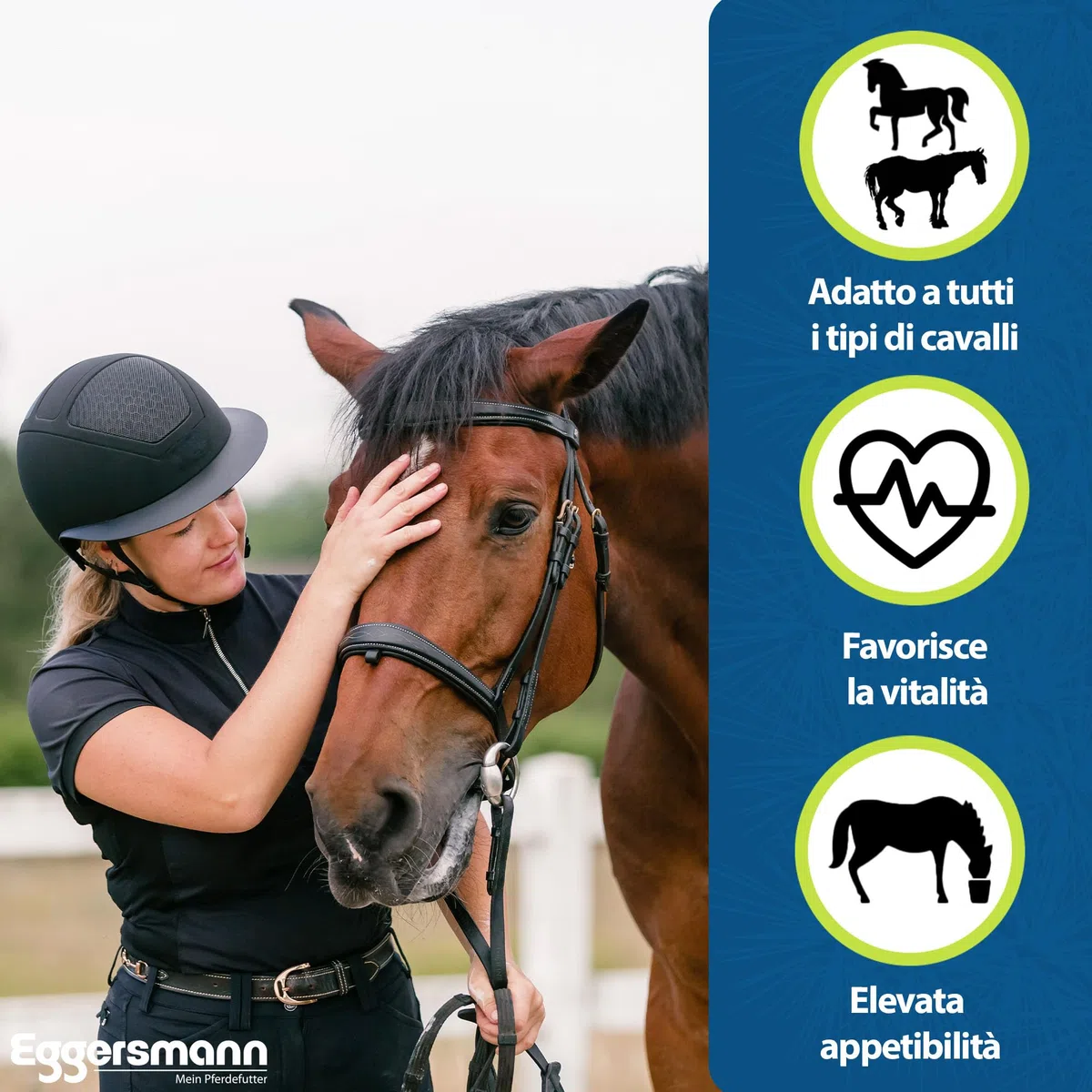 Eggersmann Mein Pferdefutter Horse Vital Plus 4 kg - Mangime Minerale per Cavalli di Tutti i Tipi - Mangime per Cavalli Ricco di vitamine per Una Fornitura ottimale a Tutto Tondo - per completare Il