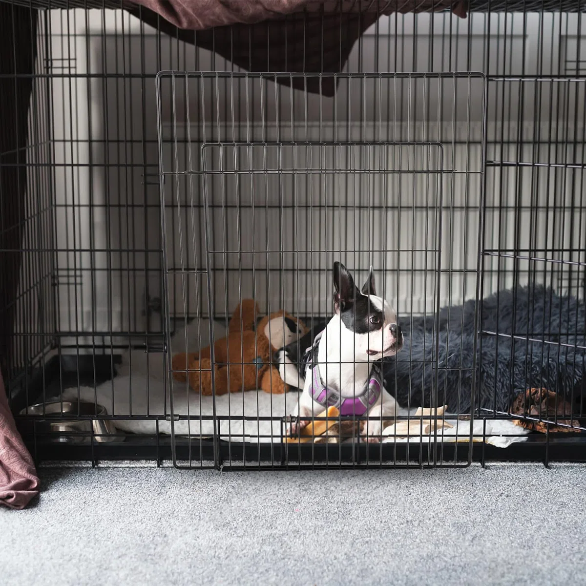 SMASOLO Porta per Gabbia Animali Domestici in Rete Resistente 45x35 Cm con Cancello Integrato, Recinzione Modulare per Cuccia Cani e Gatti, Adatta per Uso Interno ed Esterno